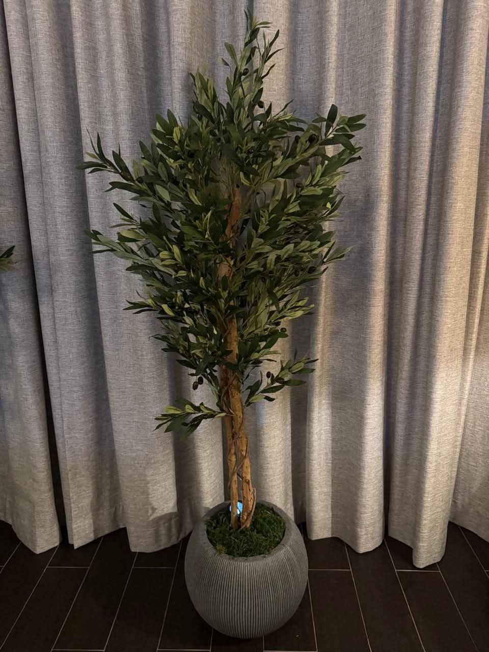 Artificial Olive Large 2stems 180cm to 2m