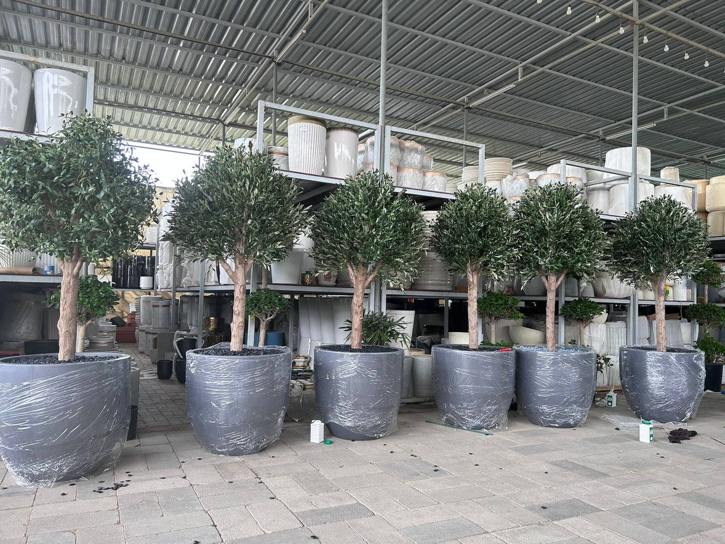 Giant Artificial Olive Trees in Fiber Pot New