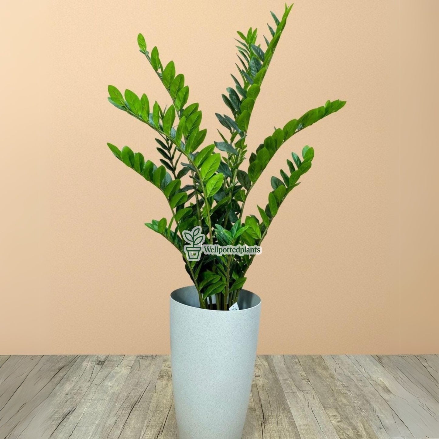 Artificial Zizi