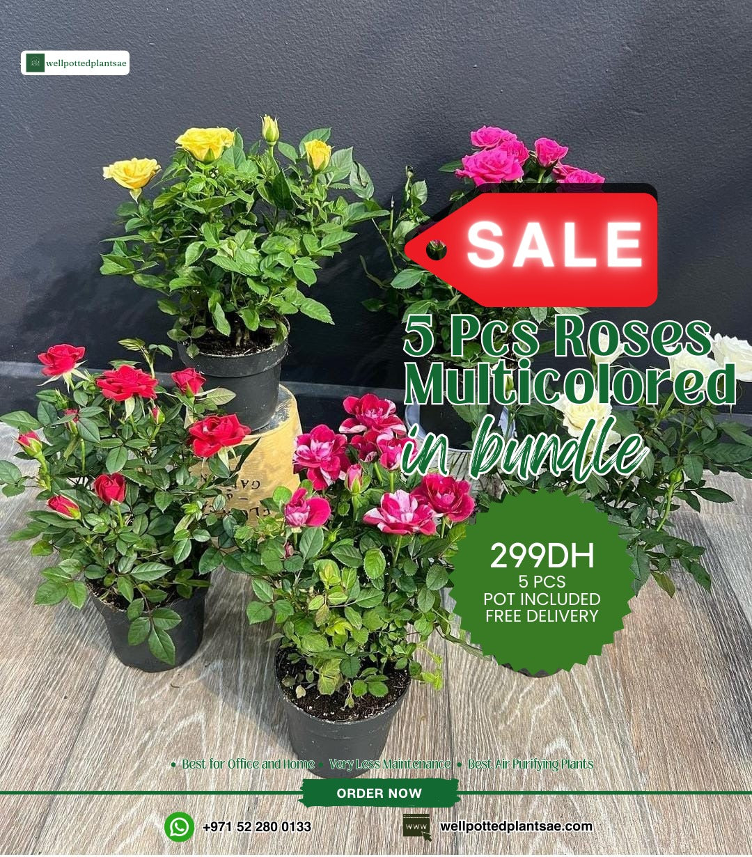 Roses Bundle 5pc PROMO
