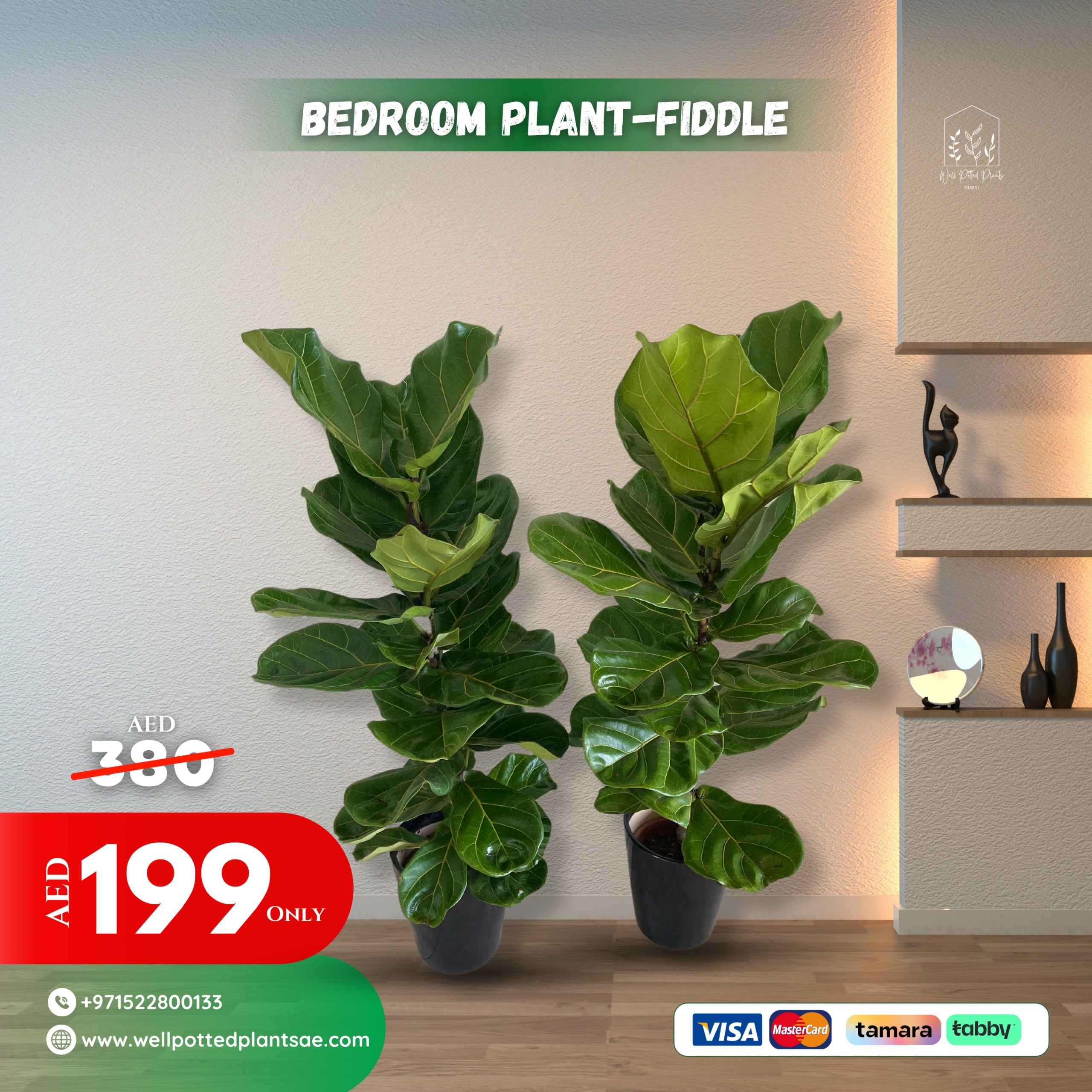 Fiddle leaf PROMO|140cm