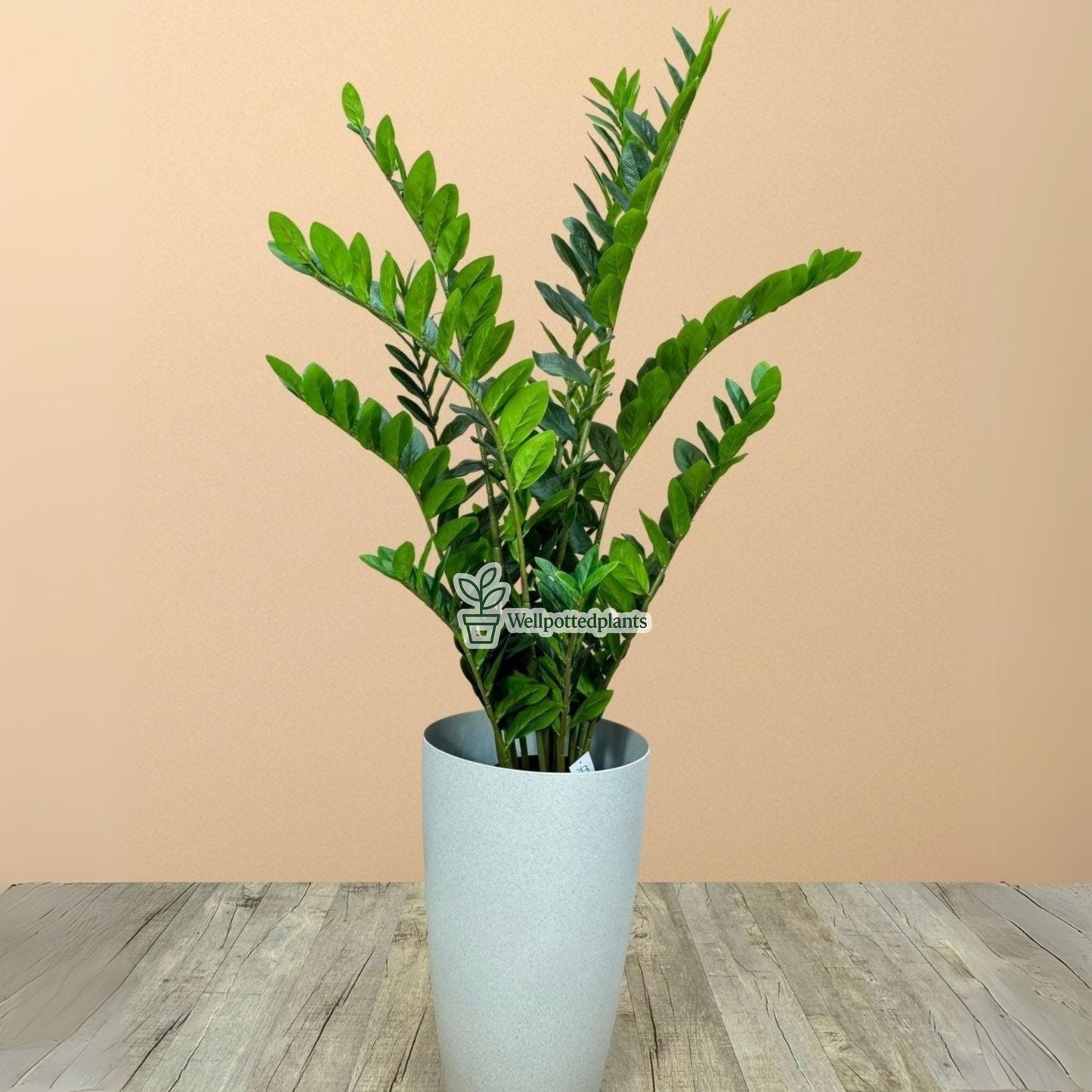 Artificial Zizi