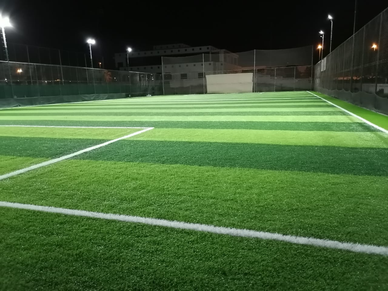 Artificial Grass Premium Quality with Installation Per sqm