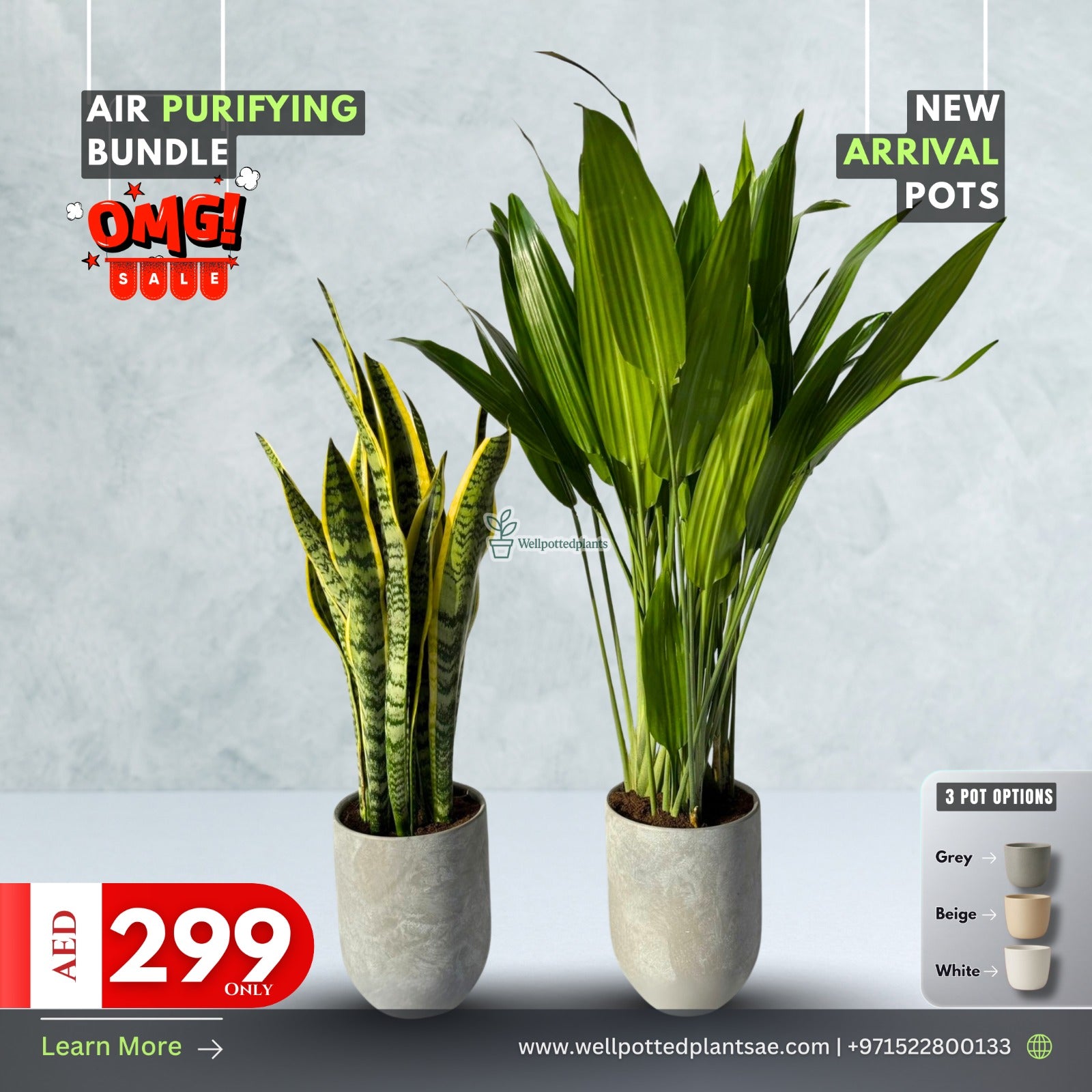 Clearance Sale Air Purifying Bundle NEW