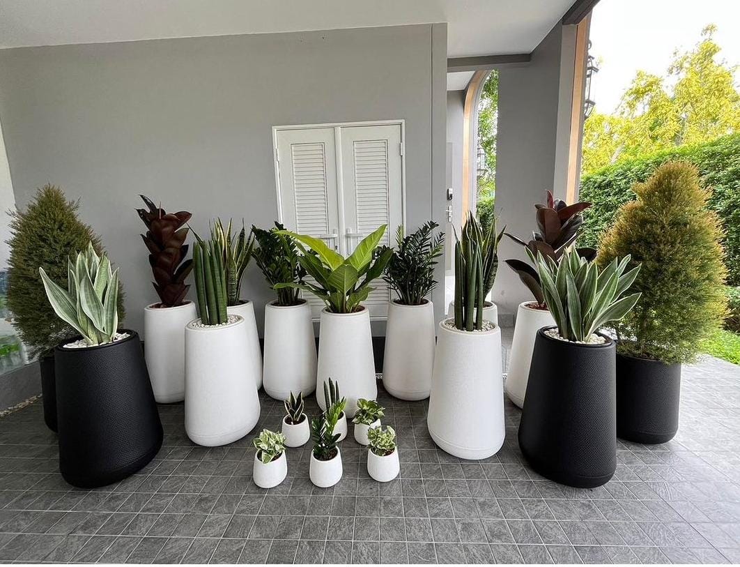 Office Plants Premium in Fiber 19pcs