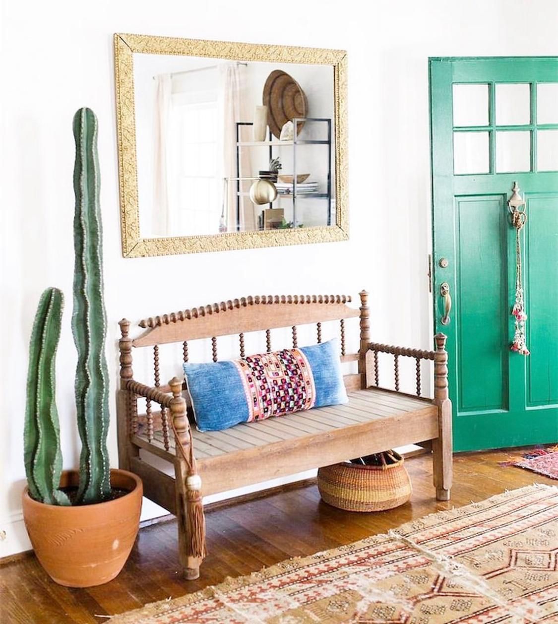 Premium Cactus XL Holland