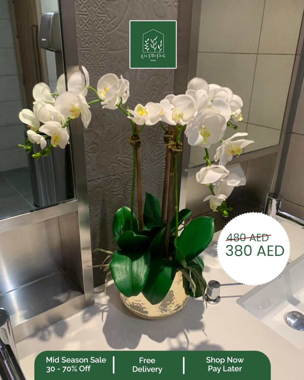 Orchid fake deals plant