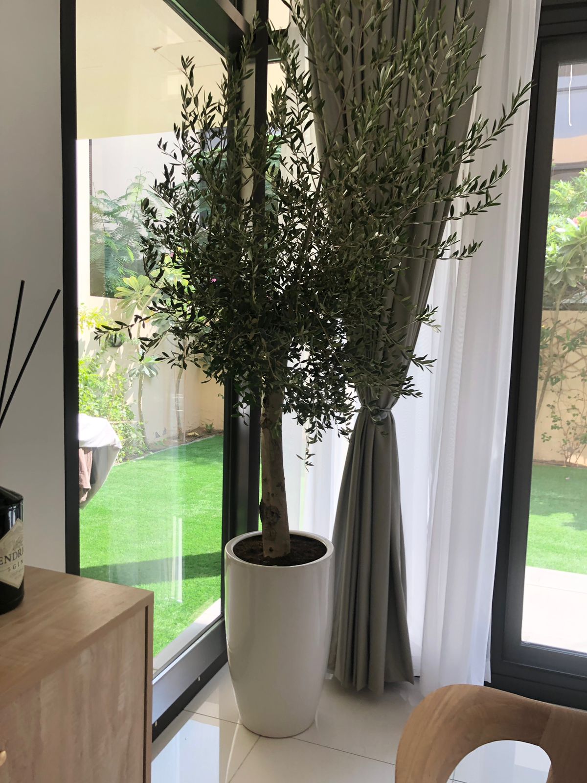 Indoor Olive Large in White Ceramic