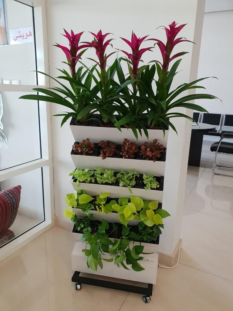 Vertical Garden with Plants