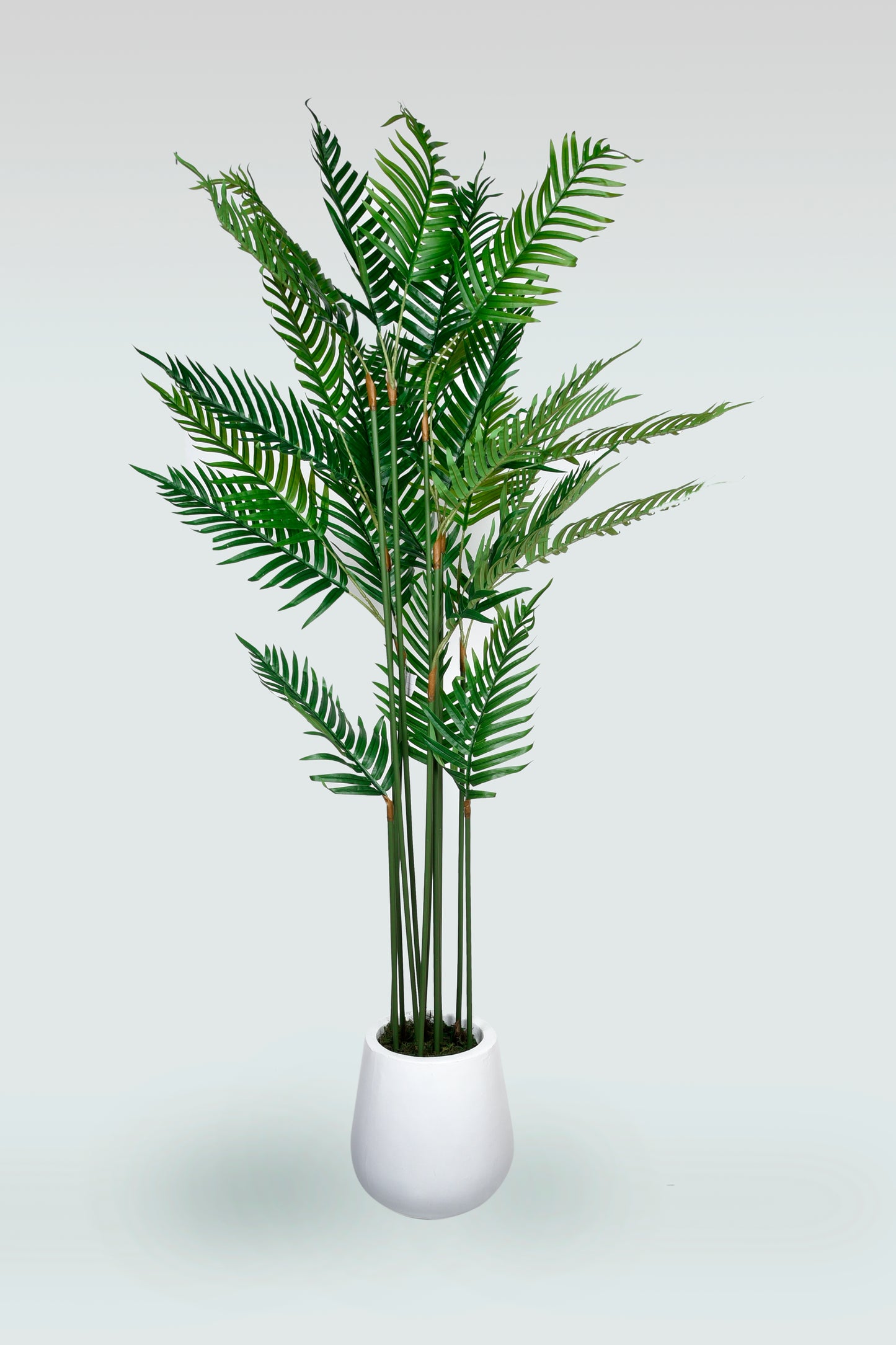 Artificial Areca Palm Big 2m