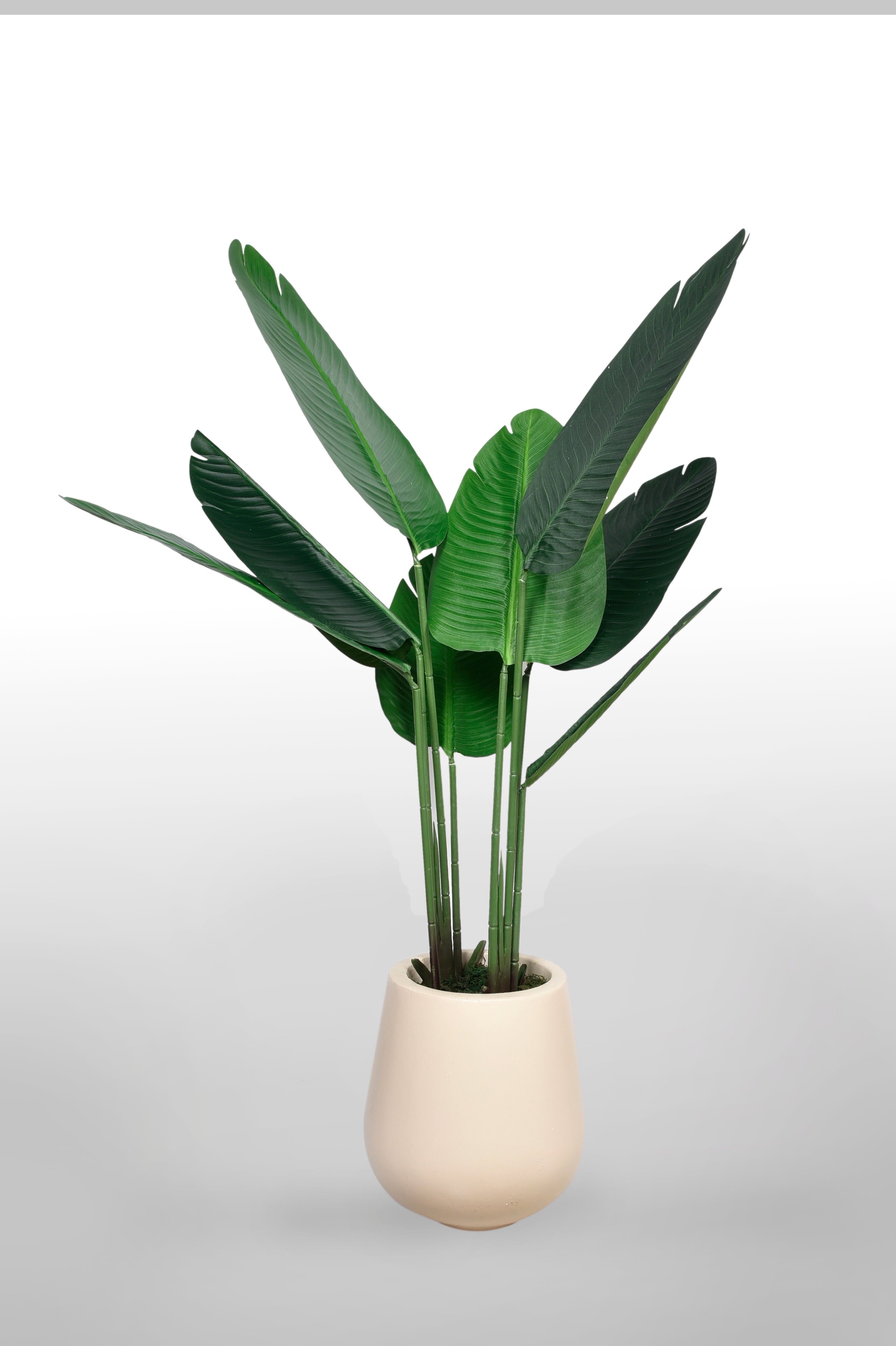 Artificial Travellers Palm Buy 1 Take 1