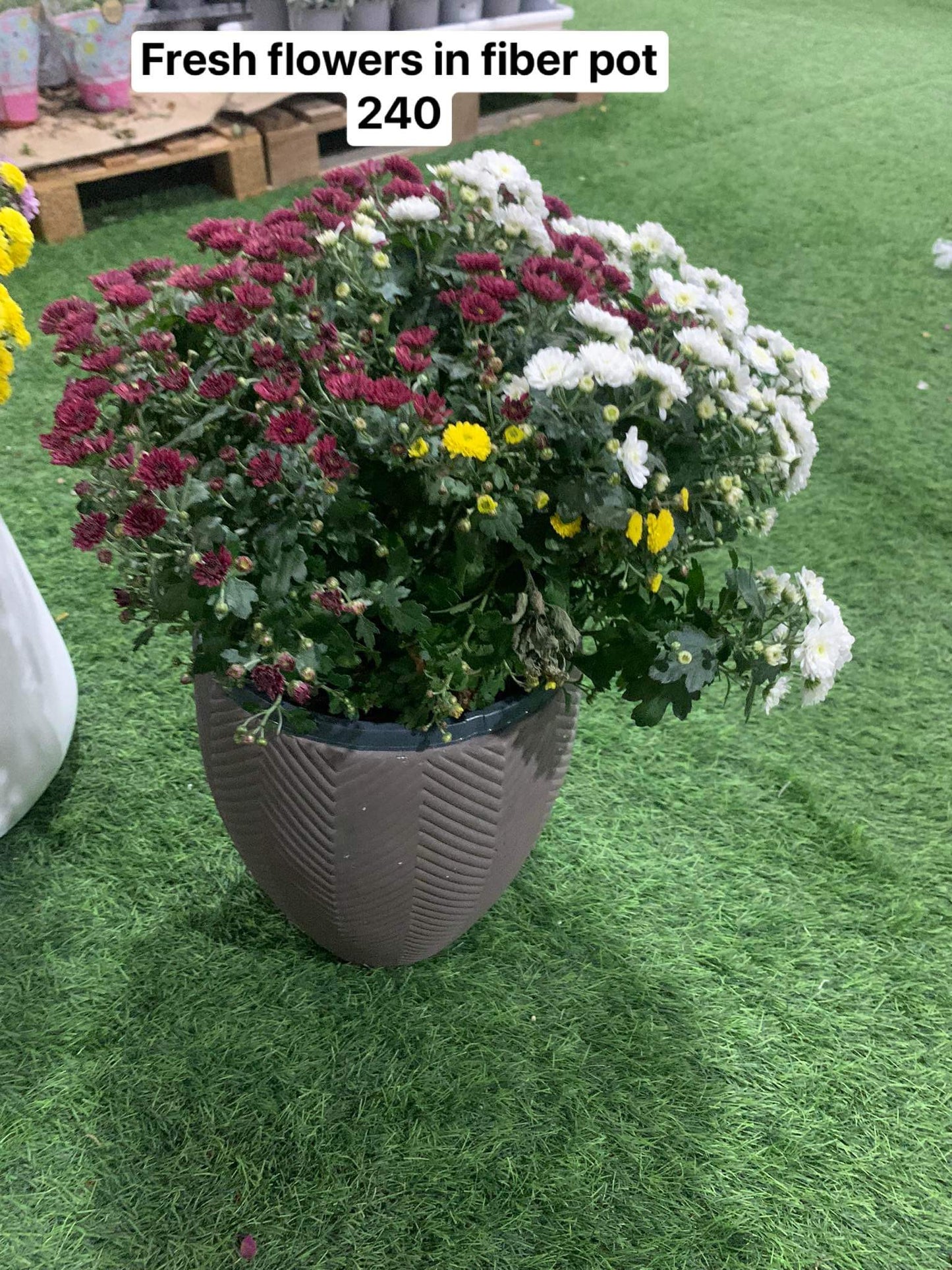 Fresh flowers in fiber pot