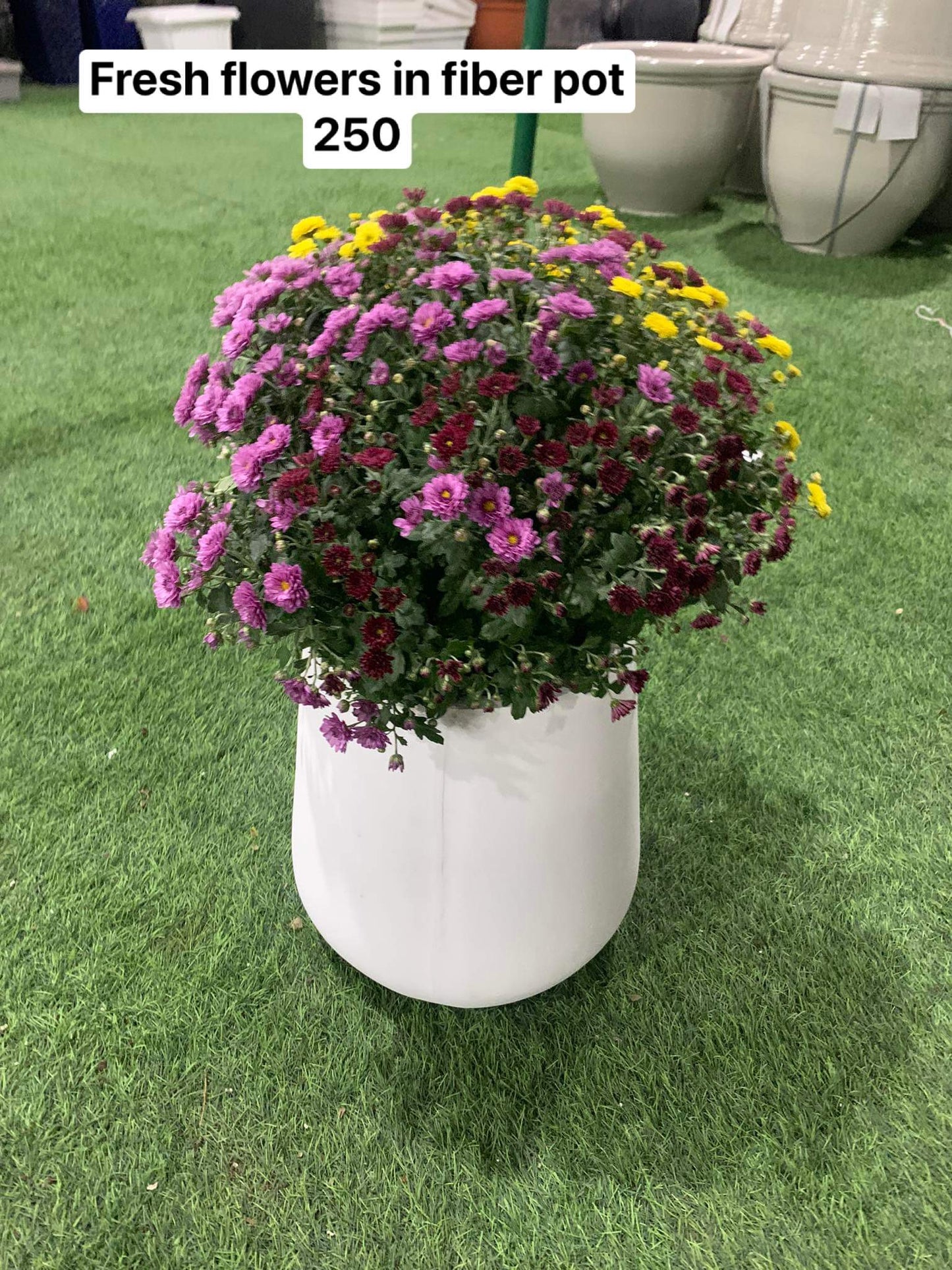 Fresh flowers in fiber pot