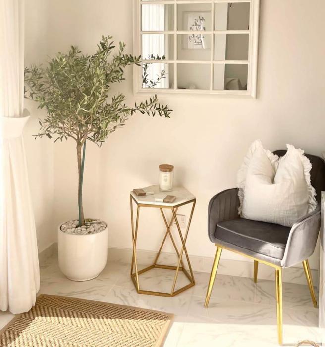 WOW SALE Olive Tree Medium