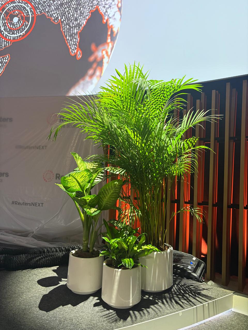 Plant Care Guide for Healthy, Happy Plants