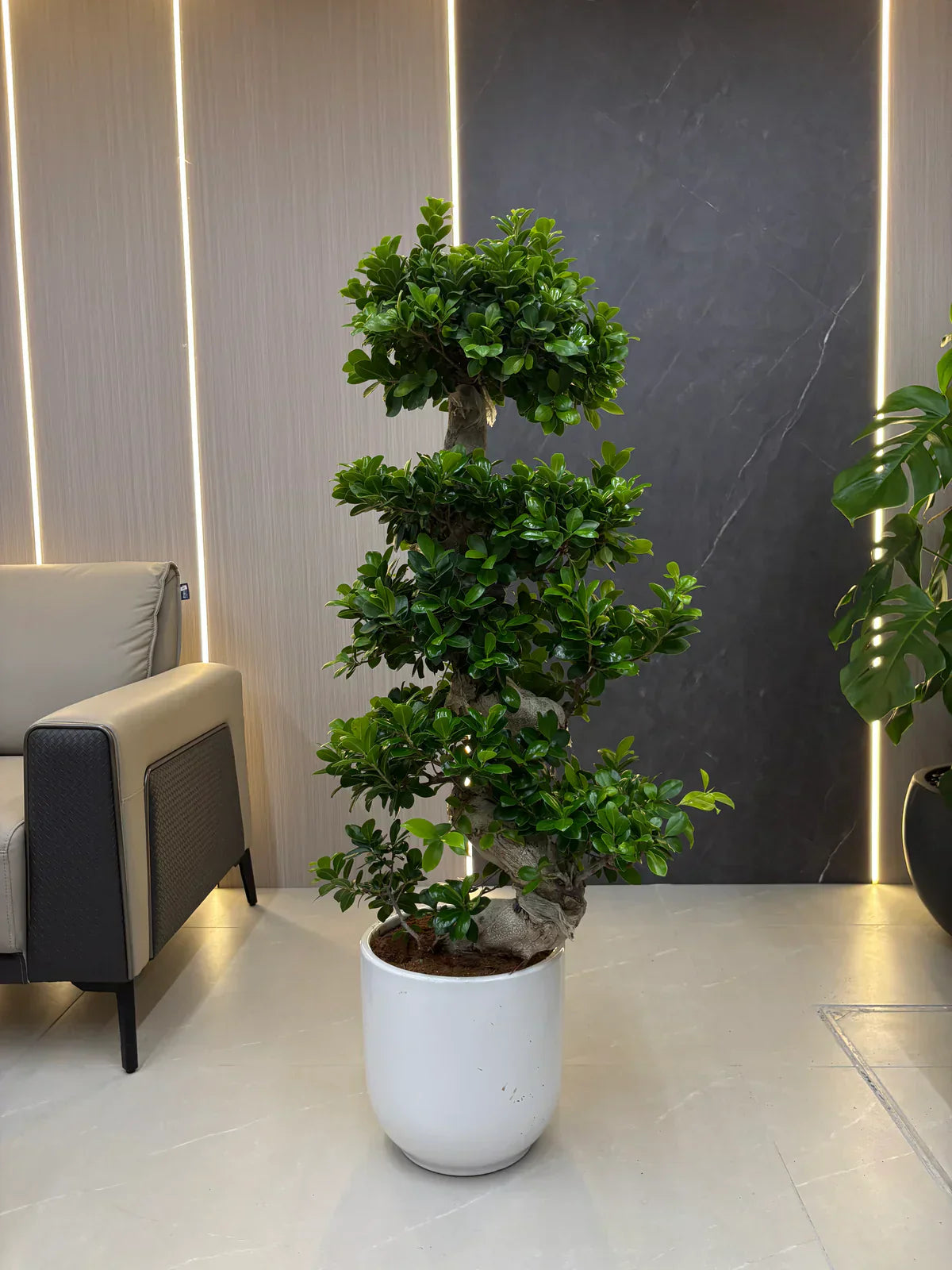 Artificial Plants Online | Well Potted Plants – Premium Quality Greenery Throughout UAE