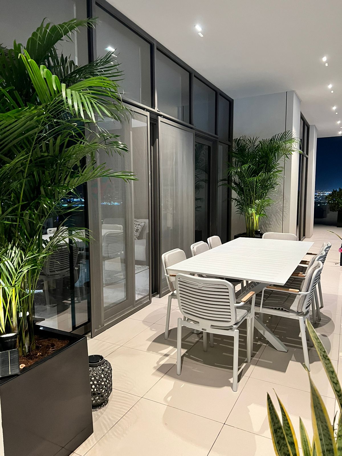 Premium Holland Plants