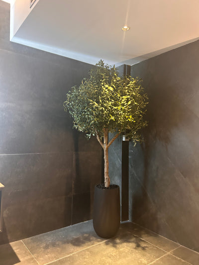 Artificial Olive XLarge in Fiber Matte Pot