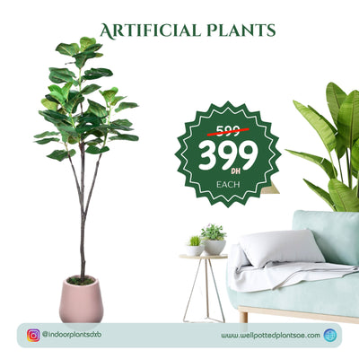 Artificial Plants