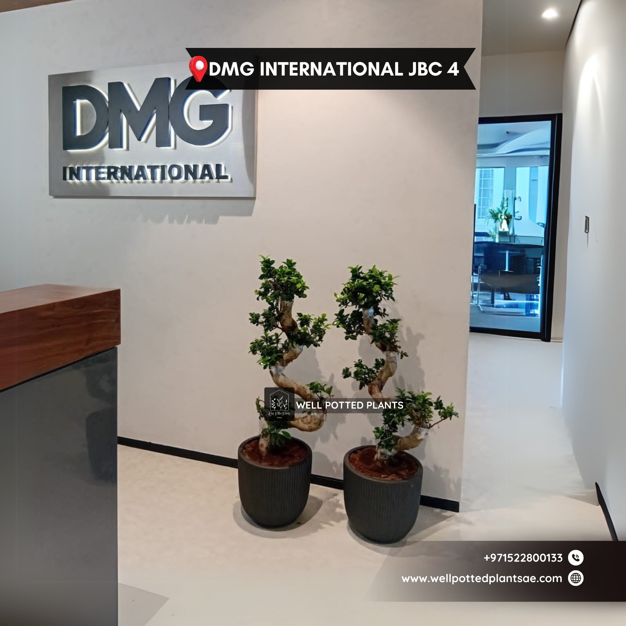 Bonsai Large in Clasyy Black Matte Bundle 2pc Premium Quality S-Shape