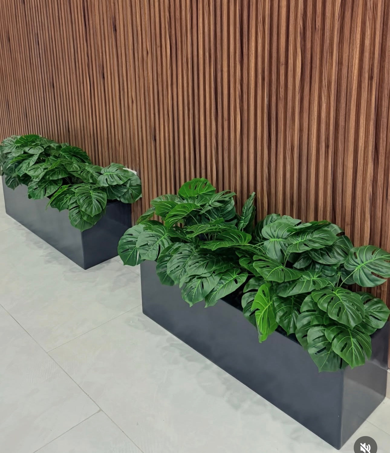 Artificial Plants in Rectangle Combo