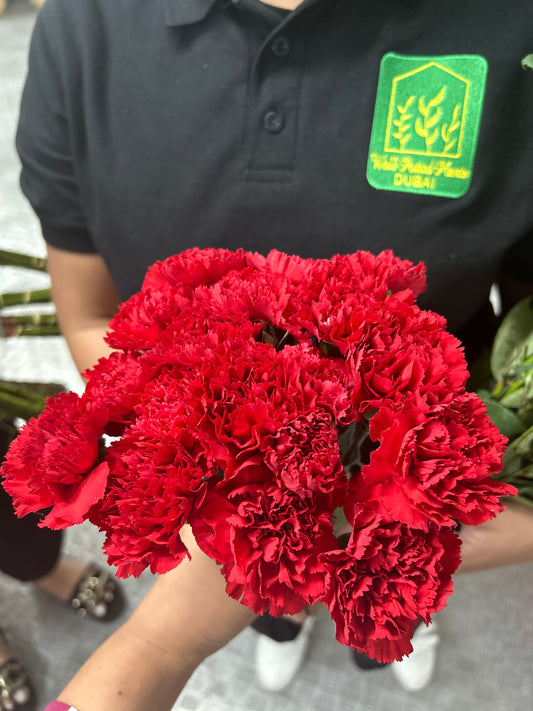 Fresh Flowers Carnation 12pcs Best Seller