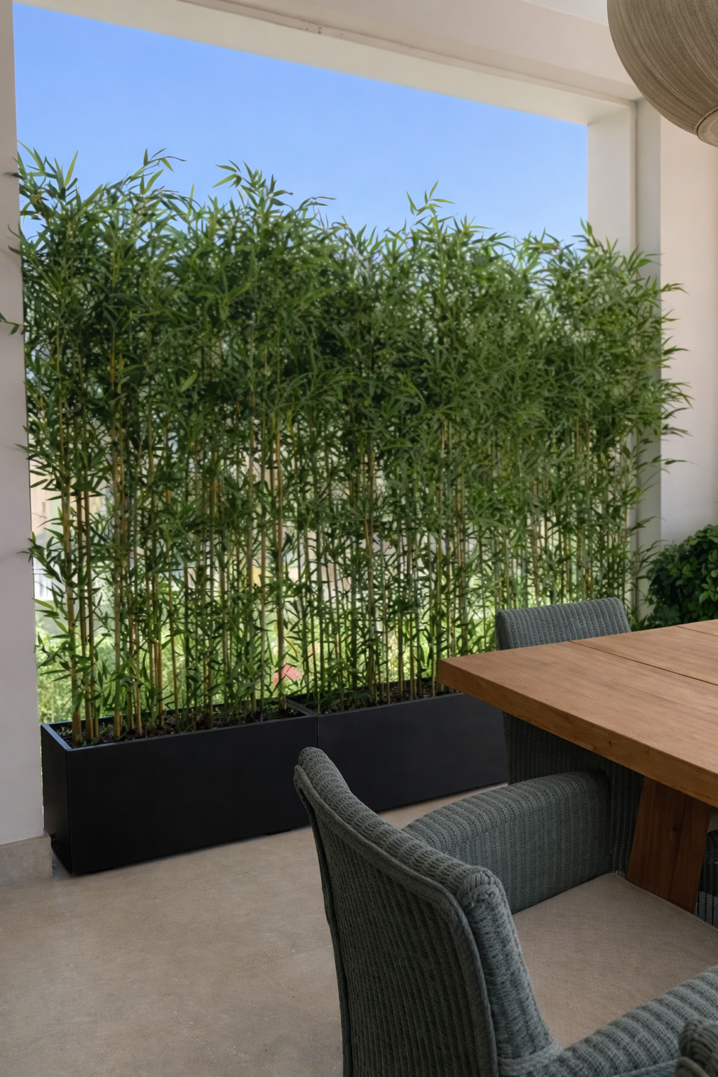 Artificial Bamboo Arrangement in Fiber Black Privacy Plants UAE