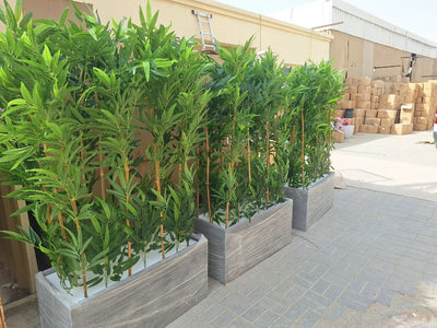 Artificial Bamboo Privacy Plants in Grey Fiber Pot Plants UAE