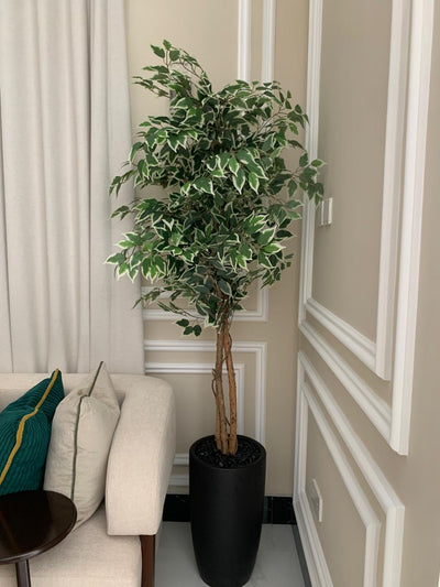 Artificial Benjamina Big 2m Indoor Plants UAE