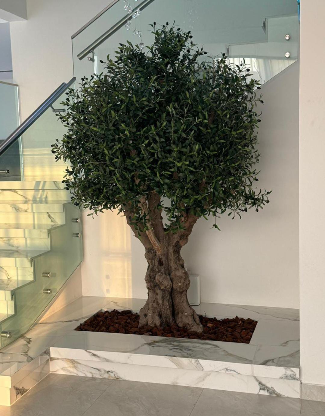Artificial Bonsai Olive Tree Plants Dubai. Potted olive tree in a modern indoor setting with marble flooring and glass walls.