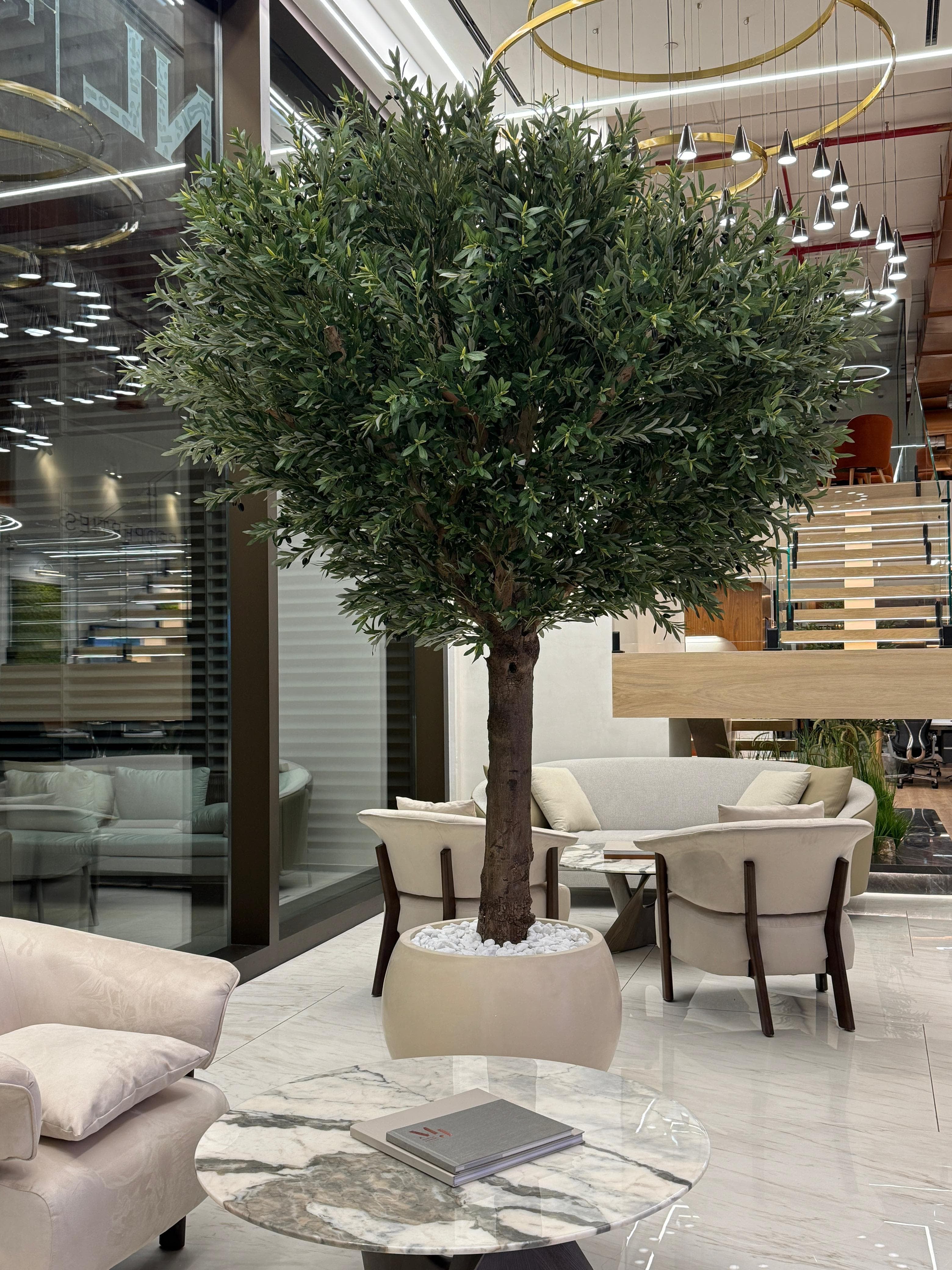 Artificial Olive Premium Extra Large 2.5m to 3m Plants UAE