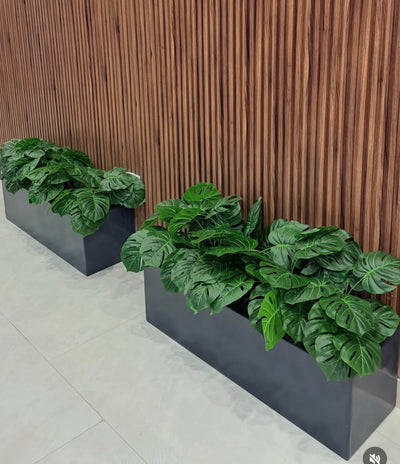 Artificial Plants in Rectangle Combo