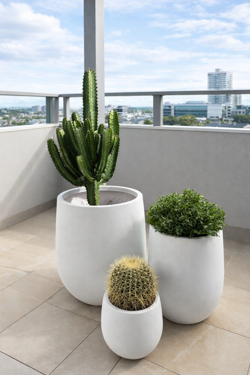 Balcony Plants Ficus Bundle UAE. Three potted plants on a balcony with a cityscape view.
