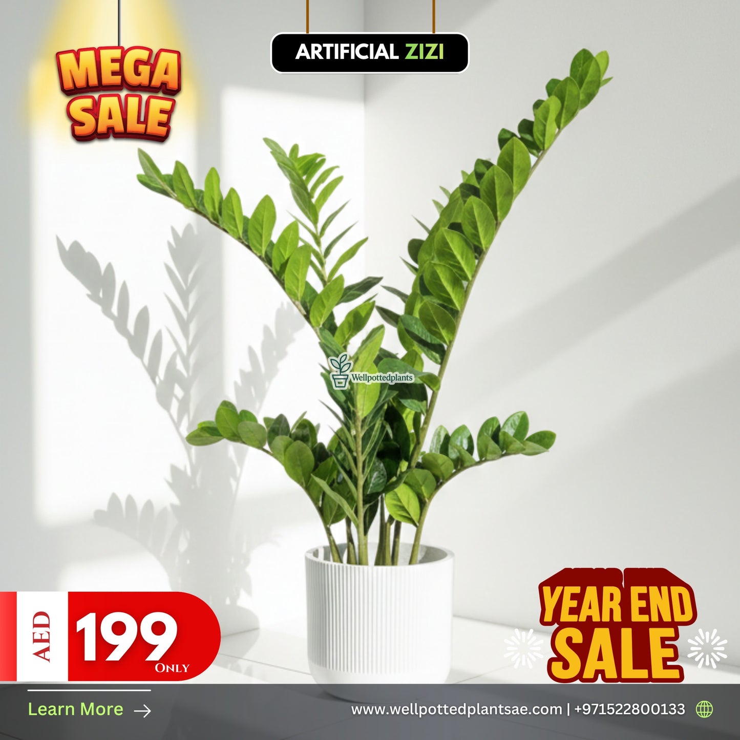 Mega Sale Artificial Plant Zizi