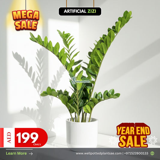 Mega Sale Artificial Plant Zizi