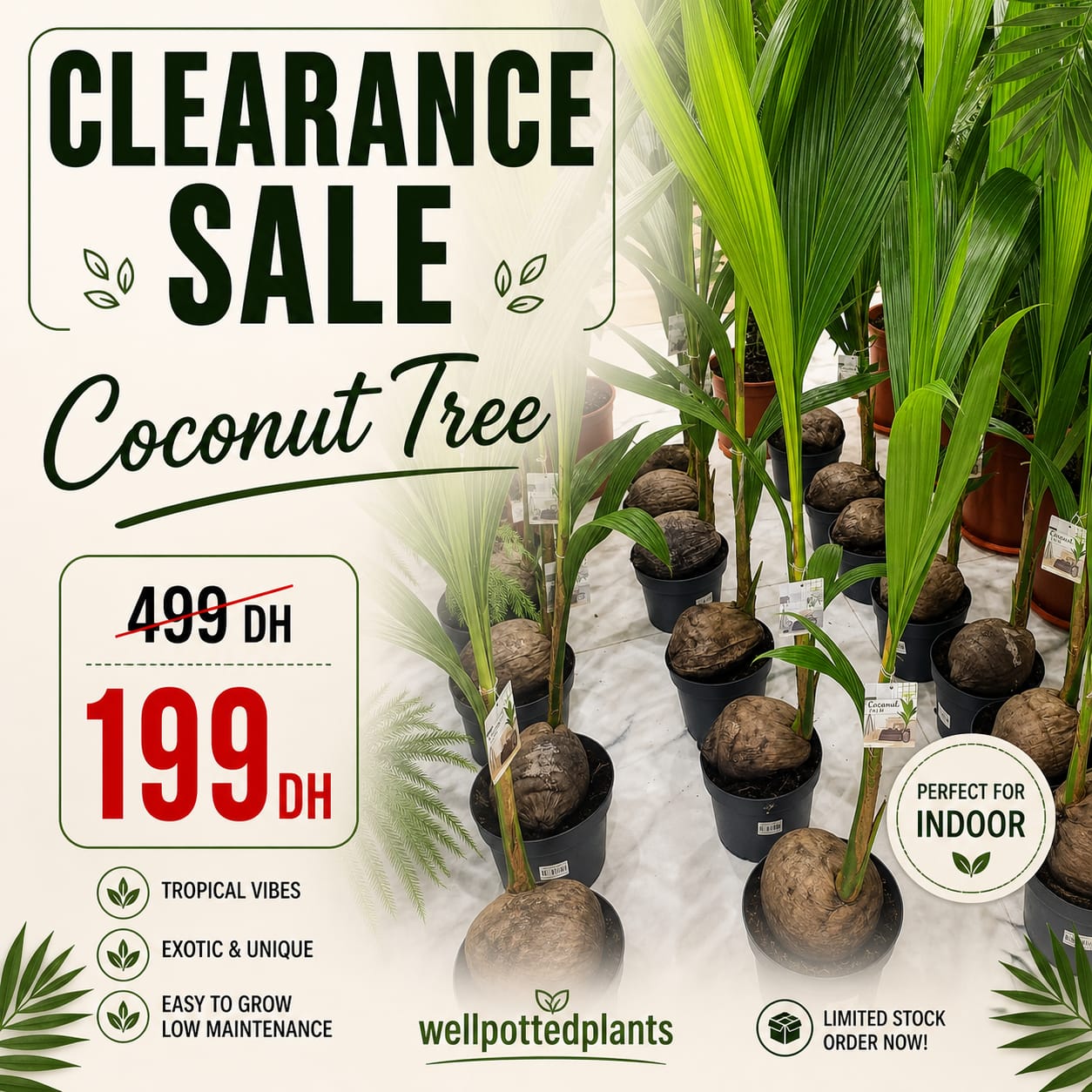 Clearance Sale for the Month of May Dubai