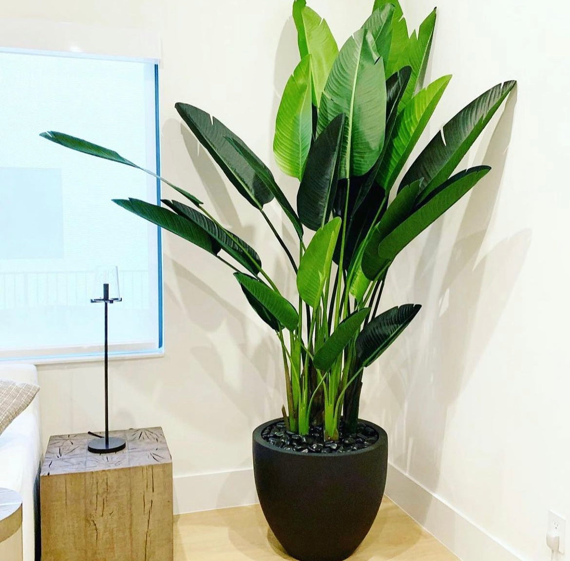 Artificial Travellers Palm Premium Collection