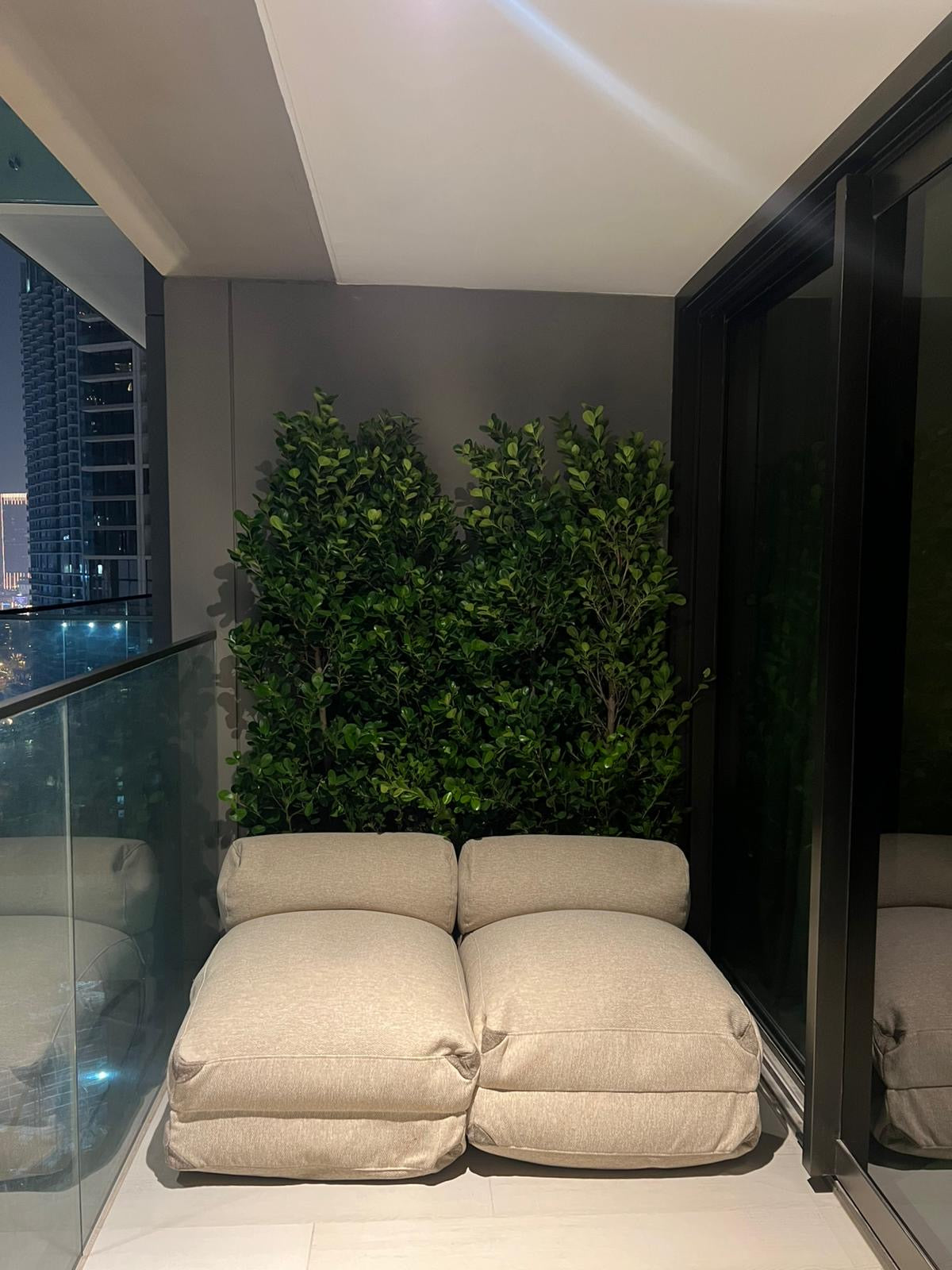 Outdoor Plant Privacy in UAE