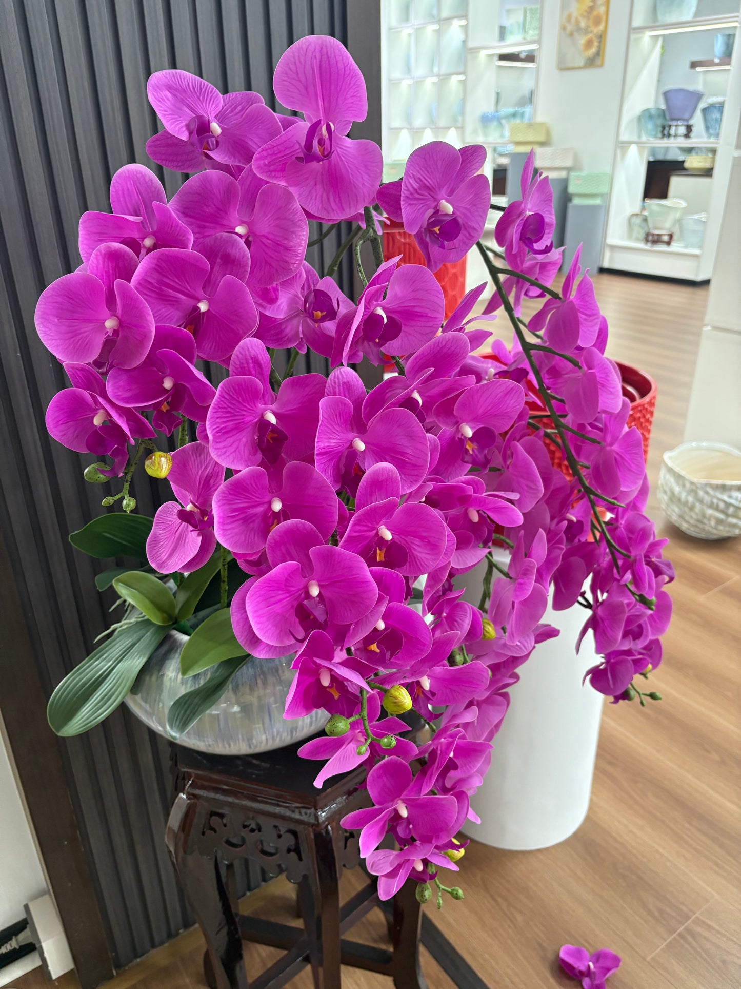 Orchid XLarge Premium