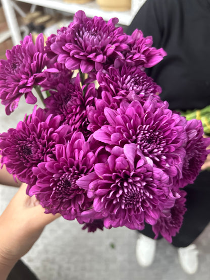 Fresh Flowers Chrysanthemum 12pc Best Seller