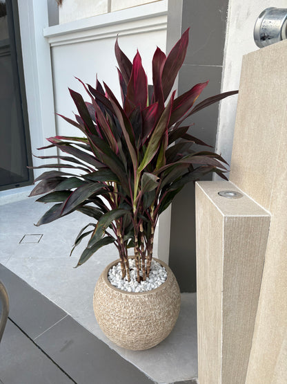 Rumba Premium in Fiber