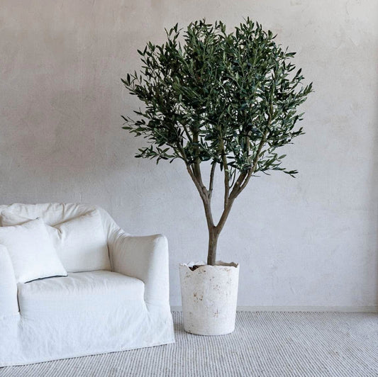 Artificial Olive Tree in Rustic