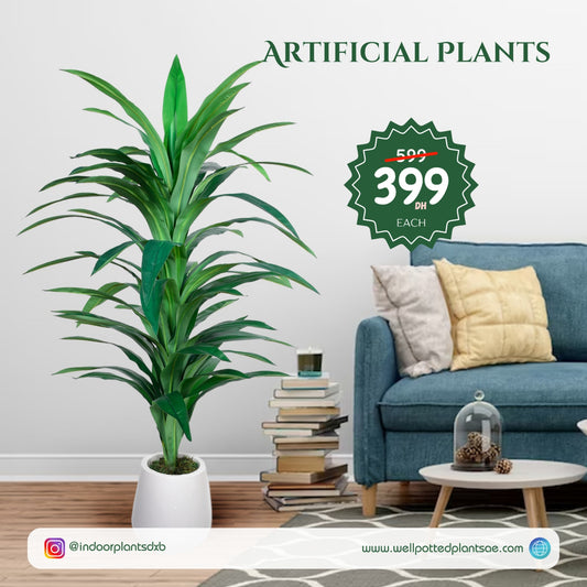 Artificial Plants