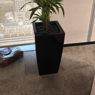 Fiber Xlarge Pots 80cm x 30cm Height Plants UAE.
