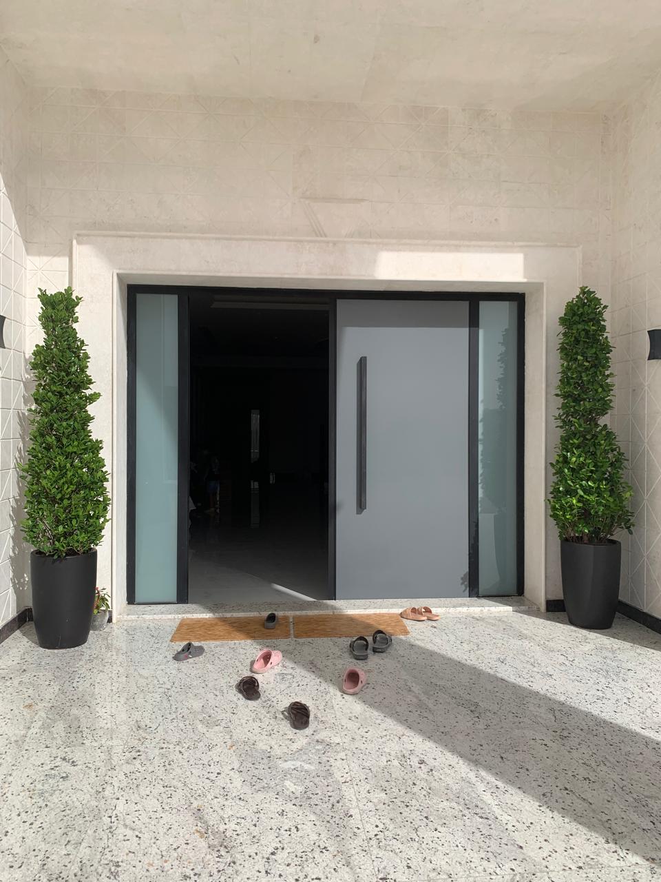 Ficus Cone Shape Plant (2.5m–3m) for Outdoor Spaces, UAE