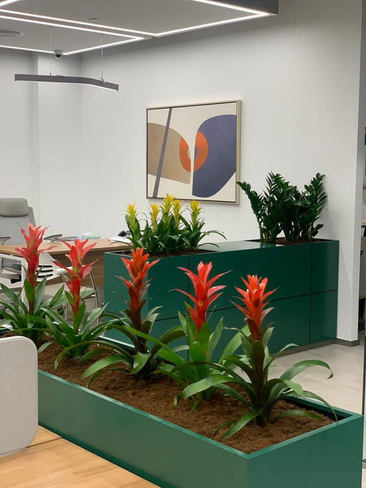 Flower Arrangement