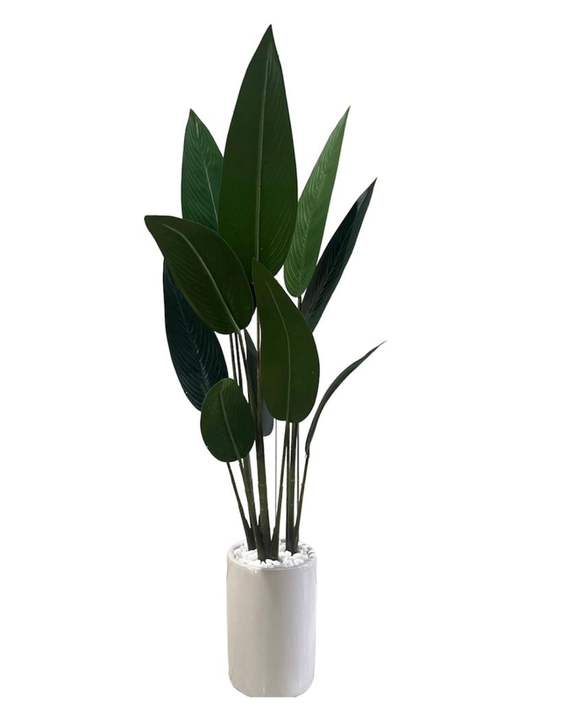 Artificial Birds of Paradise PROMO