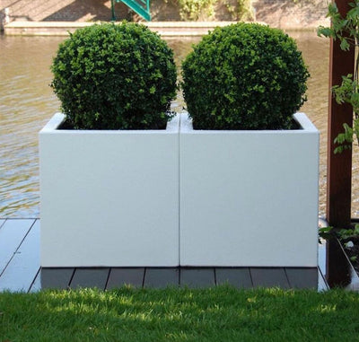 Outdoor Plants Grassballs Bundle