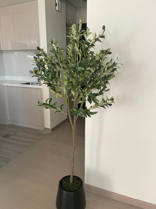 Artificial Olive 1.6m