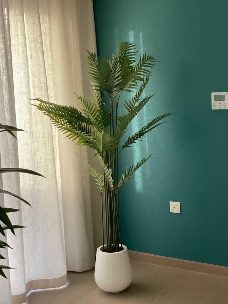 Artificial Areca 1.8m to 2m